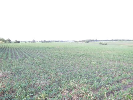 Recreational Property in Davis County, Iowa