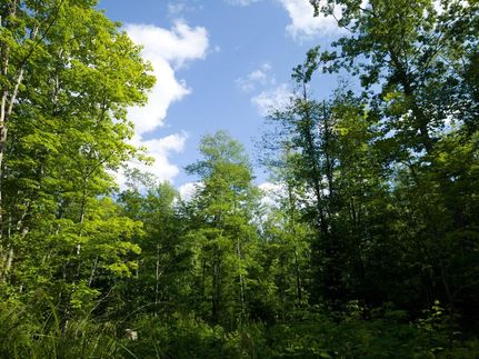 Farm and Ranch in Forest County, Wisconsin
