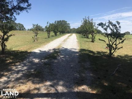 Undeveloped Land in Lee County, Mississippi