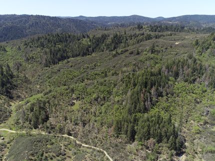 Undeveloped Land in Mendocino County, California