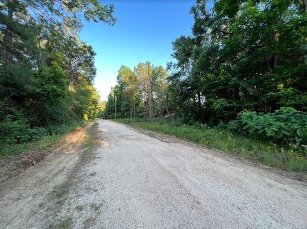 Land in Tyler County, Texas