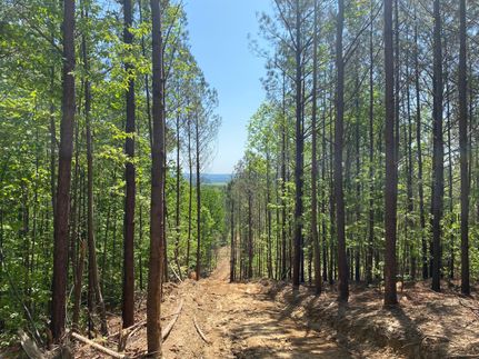 Recreational Property in Blount County, Alabama