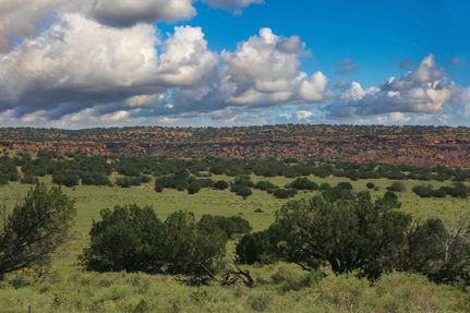 Farm and Ranch for sale in Apache County, Arizona