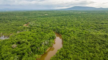 Timberland Property in Le Flore County, Oklahoma