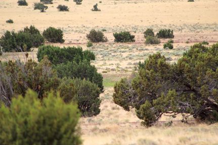 Recreational Property in Apache County, Arizona