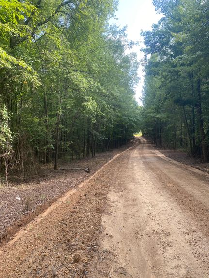 Farm and Ranch in Montgomery County, Mississippi