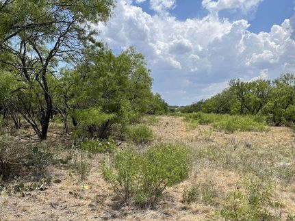 Land in Eastland County, Texas