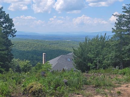 Timberland Property in Campbell County, Virginia