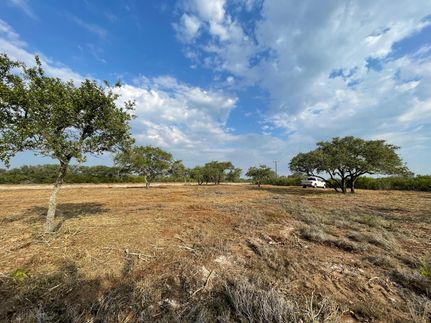 Undeveloped Land in Bee County, Texas