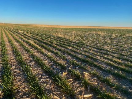 Recreational Property in Deuel County, Nebraska