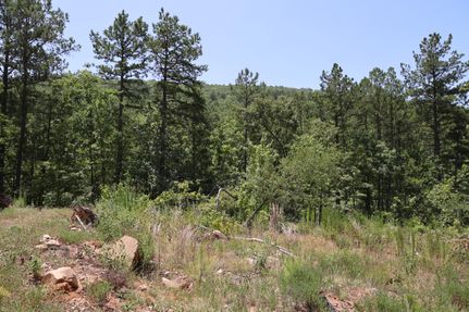 Recreational Property in Le Flore County, Oklahoma