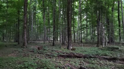 Land in Kalkaska County, Michigan