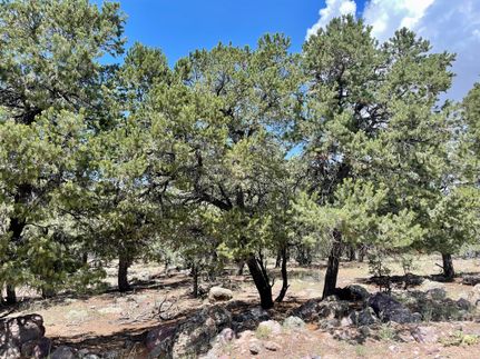 Undeveloped Land in Saguache County, Colorado