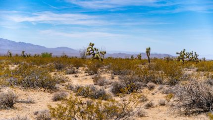 Undeveloped Land in Mohave County, Arizona