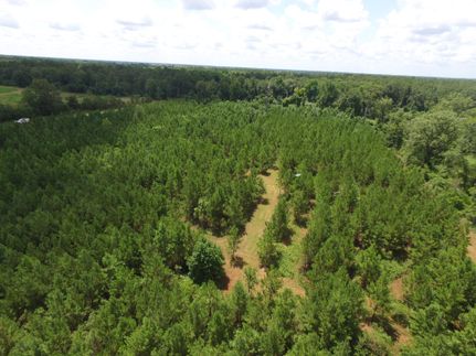 Land in Randolph County, Georgia