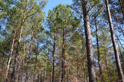 Farm and Ranch in Chester County, South Carolina