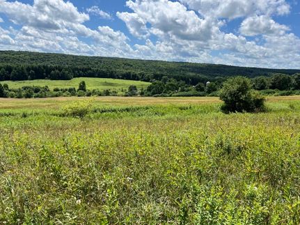 Farm and Ranch in Chautauqua County, New York