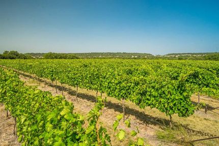 Undeveloped Land in Lampasas County, Texas