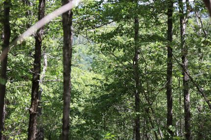Undeveloped Land in Le Flore County, Oklahoma