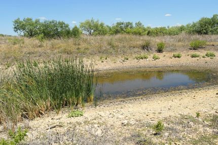 Farm and Ranch in Coleman County, Texas