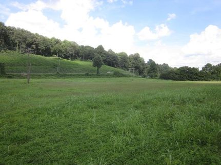 Undeveloped Land in Pickens County, Georgia