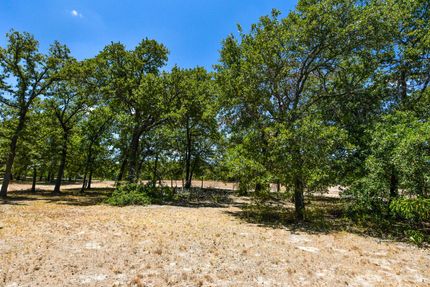 Timberland Property in Milam County, Texas