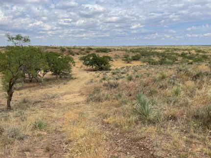 Farm and Ranch in Collingsworth County, Texas