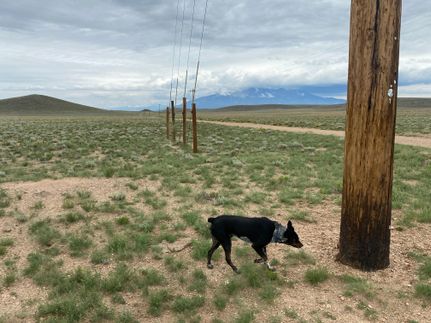 Commercial Property in Costilla County, Colorado