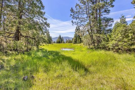 Undeveloped Land in Douglas County, Oregon