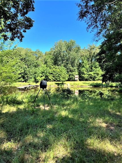 Farm and Ranch in Bowie County, Texas