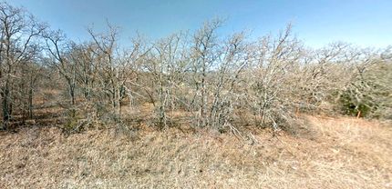 Undeveloped Land in Montague County, Texas