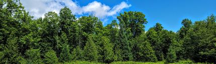 Homesite in Ashland County, Wisconsin