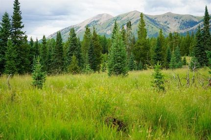 Recreational Property in Gunnison County, Colorado