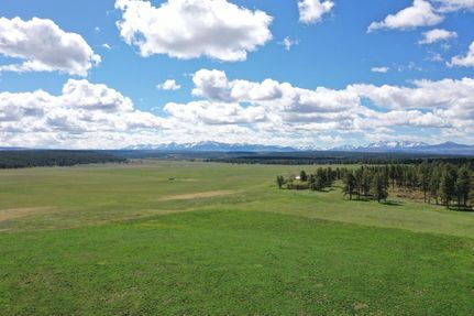 Undeveloped Land in Montrose County, Colorado