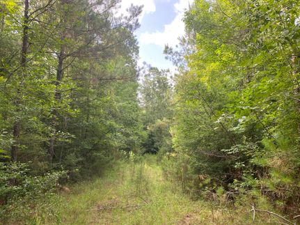 Undeveloped Land in LaSalle Parish, Louisiana
