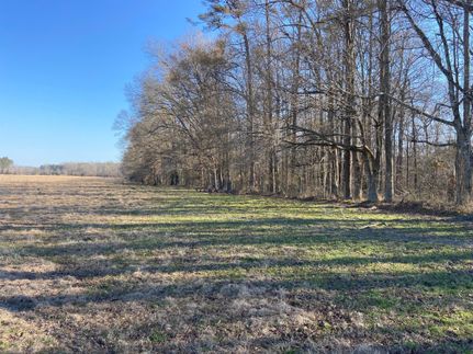 Land in Warren County, Mississippi