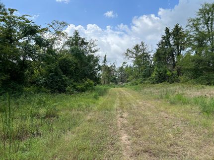 Undeveloped Land in Warren County, Mississippi