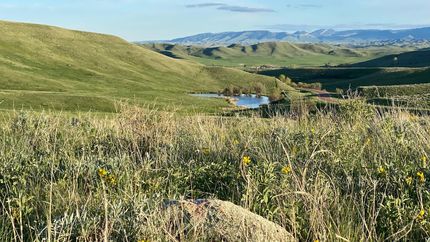 Undeveloped Land in Johnson County, Wyoming