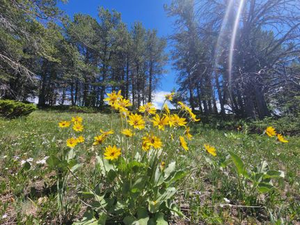 Undeveloped Land in Natrona County, Wyoming