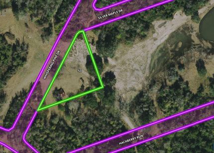 Undeveloped Land in Brazoria County, Texas