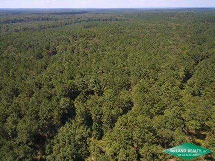 Hunting Property in Natchitoches Parish, Louisiana