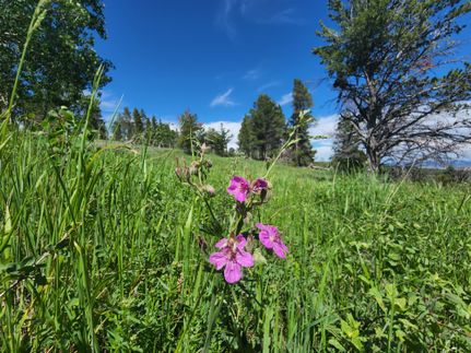 Recreational Property in Natrona County, Wyoming