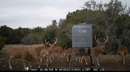 Recreational Property in Edwards County, Texas