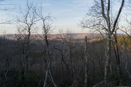 Timberland Property in Iredell County, North Carolina