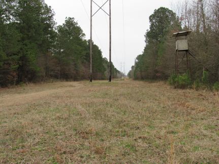 Farm and Ranch in Lincoln County, Arkansas