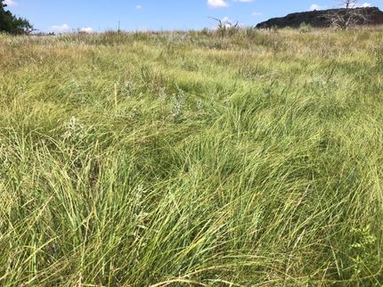 Recreational Property in Woodward County, Oklahoma