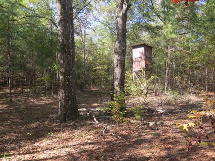 Hunting Property in Jasper County, Mississippi