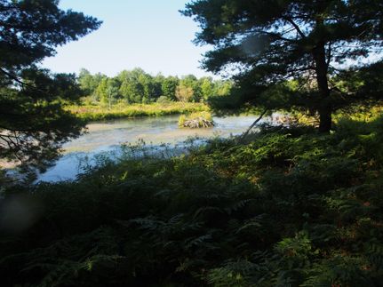 Land in Chenango County, New York