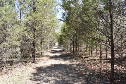 Recreational Property in Ozark County, Missouri