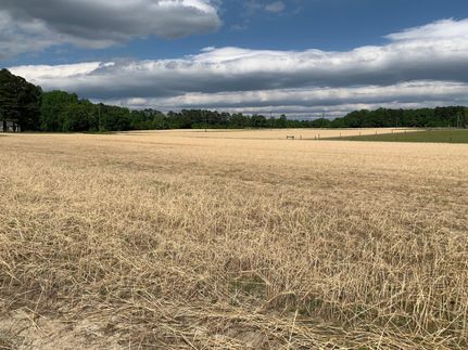 Farm and Ranch in Wake County, North Carolina